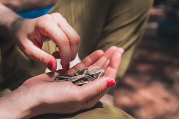 Fototapeta premium The lady in green pants with a core in her palm. core fencing