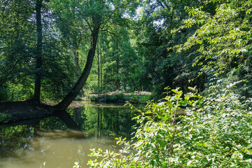 an der Erft