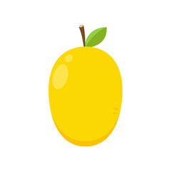 Mango vector. mango on white background. symbol. logo design.
