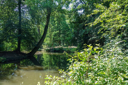 an der Erft