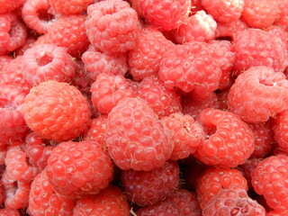 raspberry close up