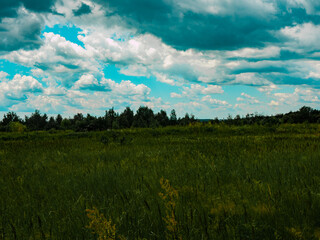 Landscape of the Botanical Garden in Radzionków. Free entry space.