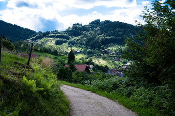 hiking trail at the edge of a town in the black forest in germany in the sun with lush green meadows