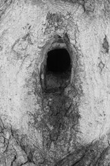 Abstraction from a tree