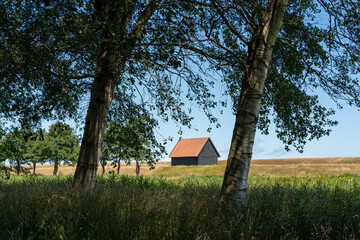 Wieringerwerf, Netherlands - juli 2020