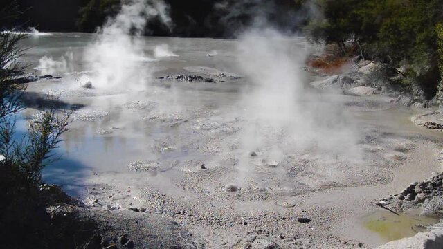 Hot, steaming mud pool, bubbling in Rotorua