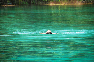 One man swimming on Green Lagoon at Mato Grosso, Brazil