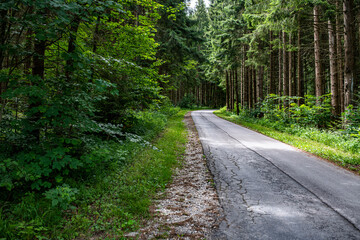 Fototapeta na wymiar Waldweg in den bayerischen Alpen von linksmitte nach rechts unten