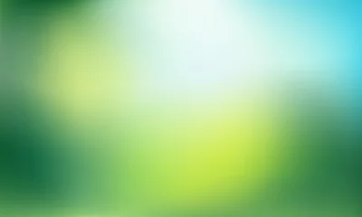 Papier Peint photo Vert-citron Abstract nature blurred background. Green gradient backdrop with sunlight. Ecology concept for your graphic design, banner or poster. Vector illustration.
