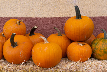 Ripe Halloween pumpkins. Sweet pumpkin harvest. Halloween decoration. Can be used as decor for Mexican Día de Muertos carnival celebration. 