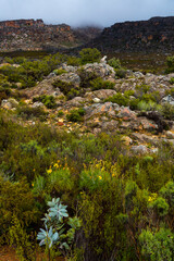 Pakhuis Pass, Clanwilliam, Cederberg Mountains, Western Cape province, South Africa, Africa