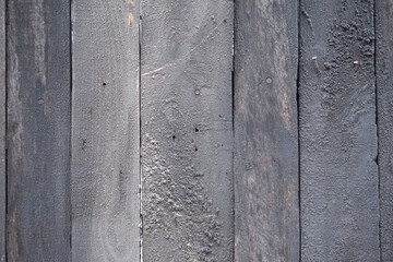 Naklejka premium Grey Wooden fence - background textural grey rustic wooden fence. Dirty old plank wall background with copy space. 
