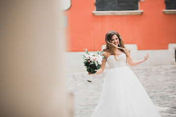 Beautiful fashion bride in wedding dress posing