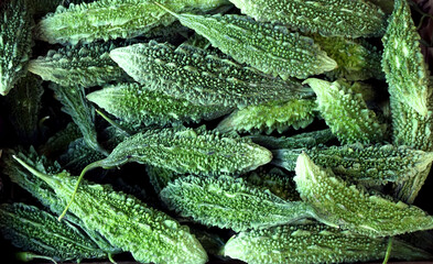 Indian cucumber texture. Green agriculture paisley background. Fluted pumpkin.           