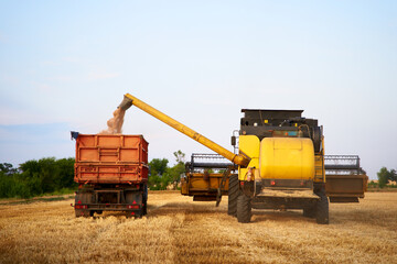 Overloading grain from the combine harvesters into a grain truck in the field. Harvester unloder...