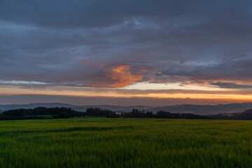 Sunset in hot summer rainy evening near Roprachtice village
