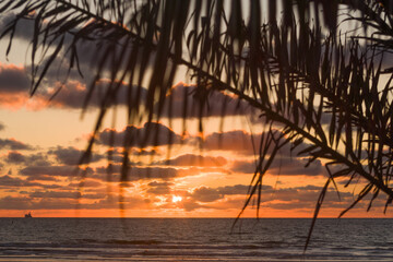 sunset on the beach