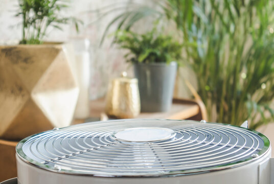 Selective Focus On Home Air Cleaner Ventilator Fan Machine In Home Living Room, Houseplant Grow On Background. Allergy And Dust Free Home Concept.