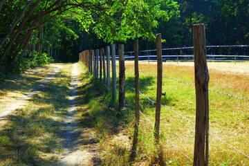 clôture
