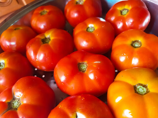 fresh beefsteak tomatoes isolated. A beef tomatoes