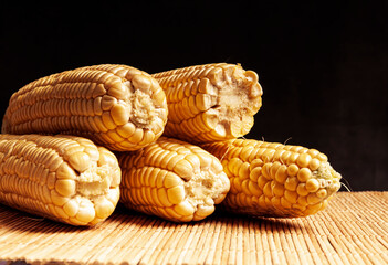 Sweet fresh corn on black background