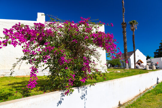 Follow the San Living Landscape Project, Clanwilliam, Cederberg Mountains, Western Cape province, South Africa, Africa