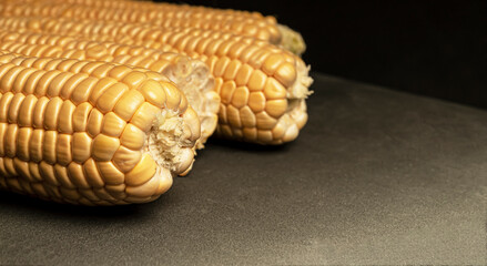 Sweet fresh corn on black background