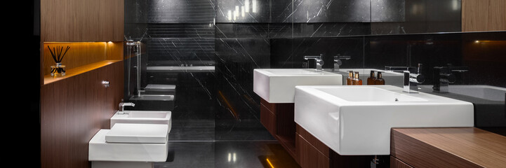 Bathroom in marble and wood, panorama