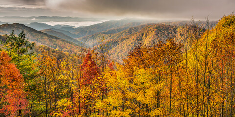 Misty autumn morning in Great Smoky Mountains National Park