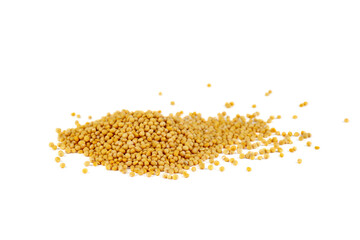 Dried seed yellow mustard isolated on a white background