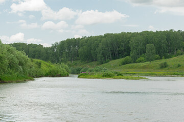 Summer nature river landscape. River grass summer view. Summer green river scene