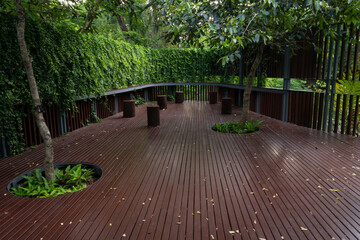 Trees and green leaves along the walkway in the park.