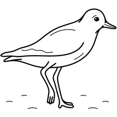 American Golden-Plover