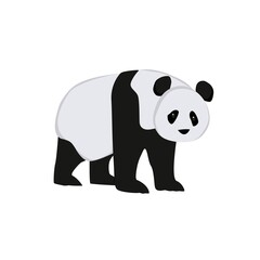  Panda Illustration