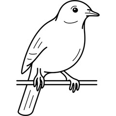 American Pipit