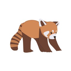 Red Panda Illustration