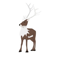 Reindeer Illustration