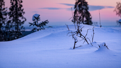 Fototapeta na wymiar Winter wonderland