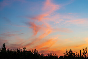 Sonnenuntergang mit Wald und Hügellandschaft