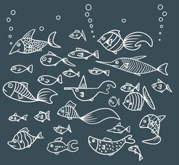Fish outline white vector clipart set hand drawn illustrations
