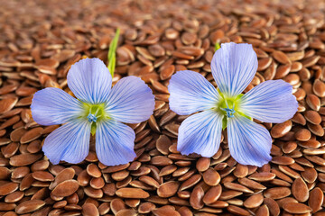 Blue Flax Flowers