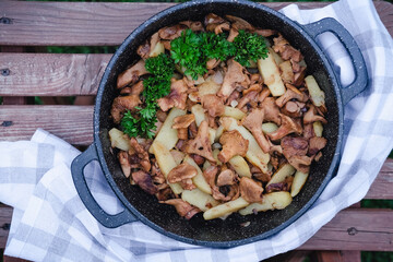 fried Chanterelle or girolle mushrooms or Cantharellus cibarius, with potatoes. fried casserole. summer and autumn seasonal lunch. close up view. top view. home cooking. forest mushrooms.