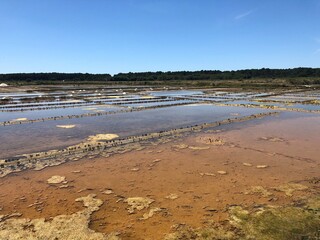 Marais salants de Guérande