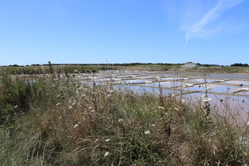 Fototapeta premium Marais salants de Guérande