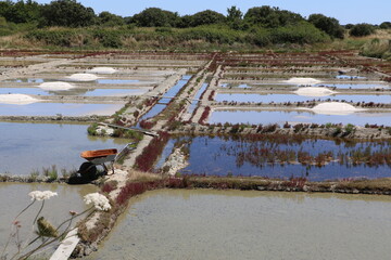 Marais salants de Guérande