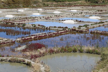 Marais salants de Guérande