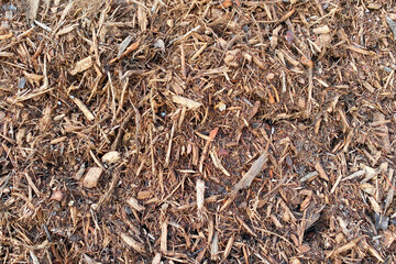 a detailed wide angle view looking down at some shredded wood chip dry mulch ground covering perfect for garden and gardening background as well as nature backdrops