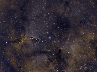 he Elephant's Trunk Nebula is a concentration of interstellar gas and dust within the much larger ionized gas region IC 1396 located in the constellation Cepheus about 2,400 light years away from Eart