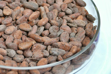 Bunch of Theobroma cocoa beans dried in a glass bowl isolated image