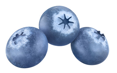 Delicious blueberries close-up, isolated on white background